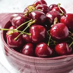 Cherry 'Stella' Bare Root -NAOMI Plant Shop 2207