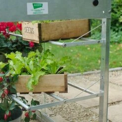 Half Growhouse -NAOMI Plant Shop FB3 35881