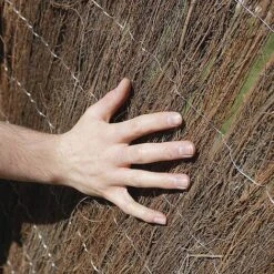 Brushwood Thatch Screen Roll - 1.8X4M(2CM DIAMETER) -NAOMI Plant Shop G0894 E684D2FF FA2F D76D 2FFD21D0266B7EBA3