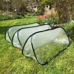 Pop Up Mini Greenhouse & Polytunnel Cloche -NAOMI Plant Shop GPN100 32PIC3