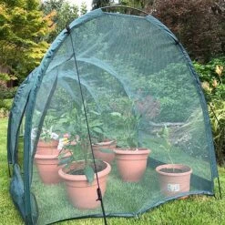 Pro Gro Professional Garden Grow Tunnel & Plant Protection Cover -NAOMI Plant Shop GPN200 20PIC2