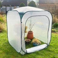 Pop-Up Poly Greenhouse Plant Cover – 1.25x1.25x1.35m H -NAOMI Plant Shop GPP125 04201000x100020833kb