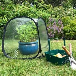 MiniPol Pop-Up Mini Greenhouse Plant Cover - 50x50x50cm -NAOMI Plant Shop GPPOLY50 01PIC3