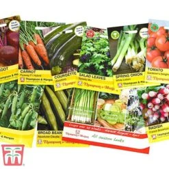 Grow Your Own Bumper Pack -NAOMI Plant Shop GROW WKB9279 C