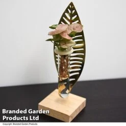 Hydroponic Collection On Display Stand -NAOMI Plant Shop HYDR COLLDISPL T49399