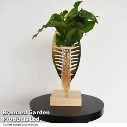 Hydroponic Collection On Display Stand -NAOMI Plant Shop HYDR COLLDISPL T49401