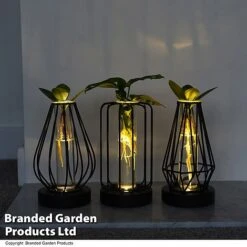 Hydroponic Collection In Turin Glass -NAOMI Plant Shop HYDR LEDTURING T49876