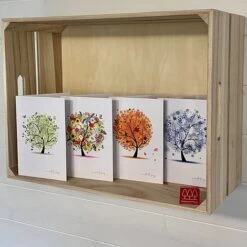 Silver Birch Tree (Betula Pendula) Grown By Cotswold Trees -NAOMI Plant Shop IMG 1416202