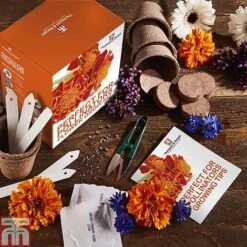 Pollinator Flowers Growing Kit