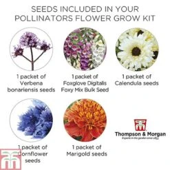 Pollinator Flowers Growing Kit -NAOMI Plant Shop POLL TKA1544 E