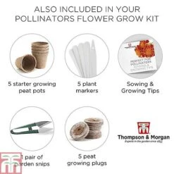 Pollinator Flowers Growing Kit -NAOMI Plant Shop POLL TKA1544 F