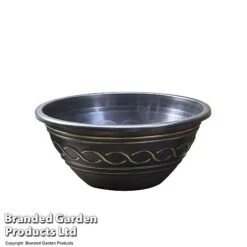 Waterlily Tricolour + Pond Basket + Black And Gold Bowl -NAOMI Plant Shop POND PATIOPOT T17998