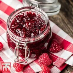 Raspberry Full Season Collection British Bred -NAOMI Plant Shop RASP RECIPE CUL 2