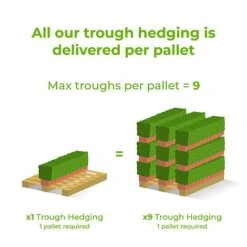 Kohuhu Instant Trough Hedge 1m (pre-grown) -NAOMI Plant Shop Ready20hedges20delivery20image20tm2