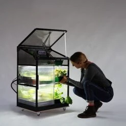 Sprout S6 - Climate Controlled Mini Greenhouse -NAOMI Plant Shop S63 4dark