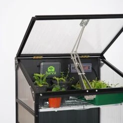 Sprout S6 - Climate Controlled Mini Greenhouse -NAOMI Plant Shop S6controls