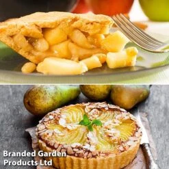 Fruit Tree Staple Duo -NAOMI Plant Shop appe