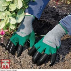 Mini Greenhouse Cloche -NAOMI Plant Shop z GARD KA8679 A1