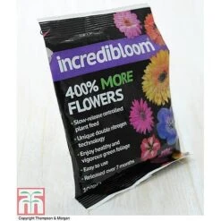 Clematis 'New Love' -NAOMI Plant Shop z INCR T47963 E h3